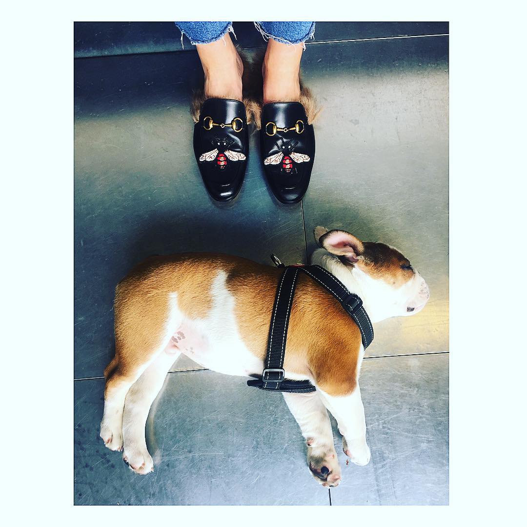 Gucci Princetown slippers loafers furry 